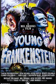 Cover for the movie Young Frankenstein